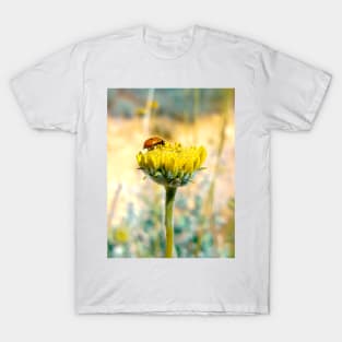 Ladybug in a Flower T-Shirt